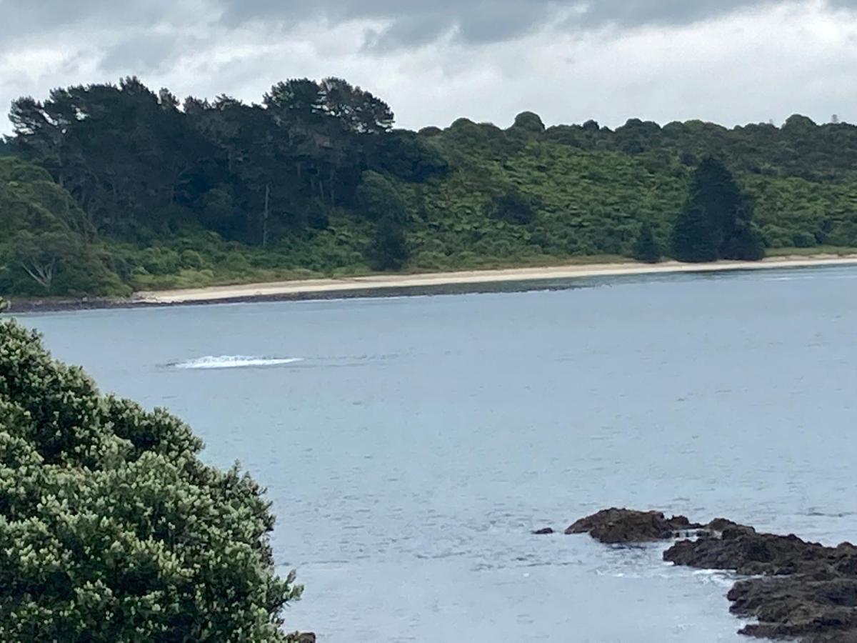 The Seahouse Apartamento Kerikeri Exterior foto